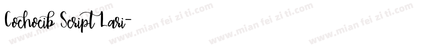 Cochocib Script Lari字体转换